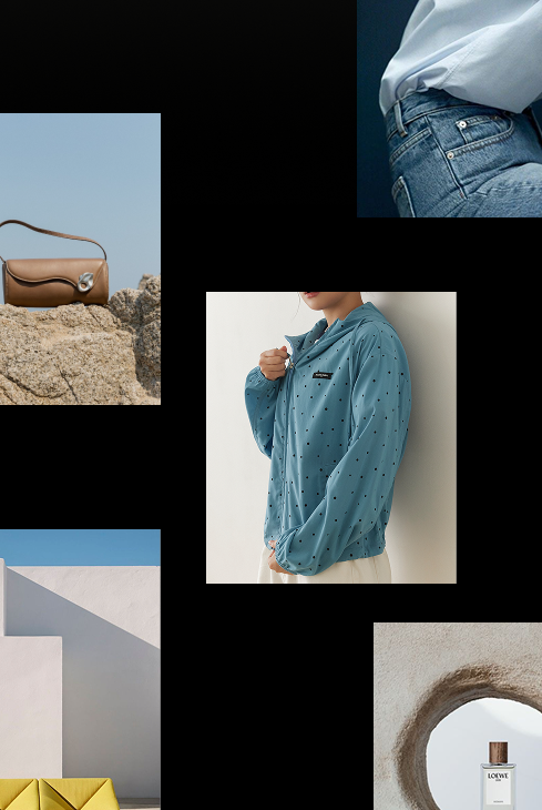 Discover our collections